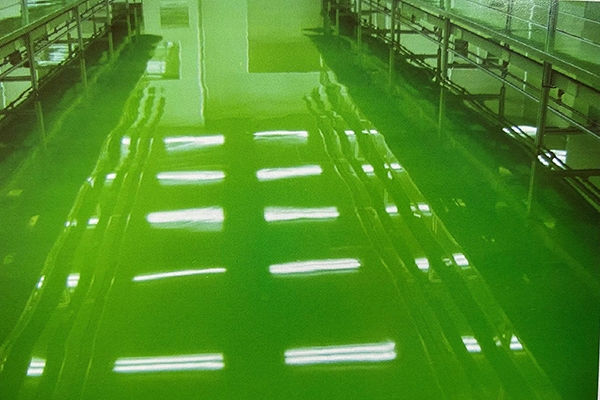 施工案例
